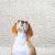 Saddle Brook Odor Removal by EZ Mitigation LLC