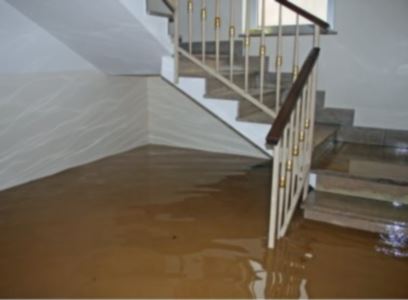 Emergency water removal in North Arlington by EZ Mitigation LLC