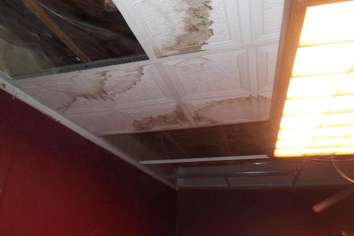 Mold Detection Services by EZ Mitigation LLC